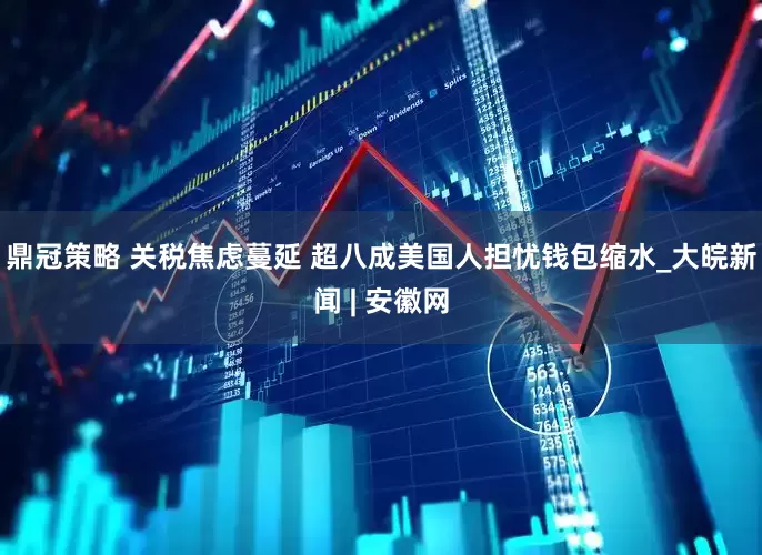 鼎冠策略 关税焦虑蔓延 超八成美国人担忧钱包缩水_大皖新闻 | 安徽网