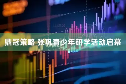 鼎冠策略 张巩青少年研学活动启幕