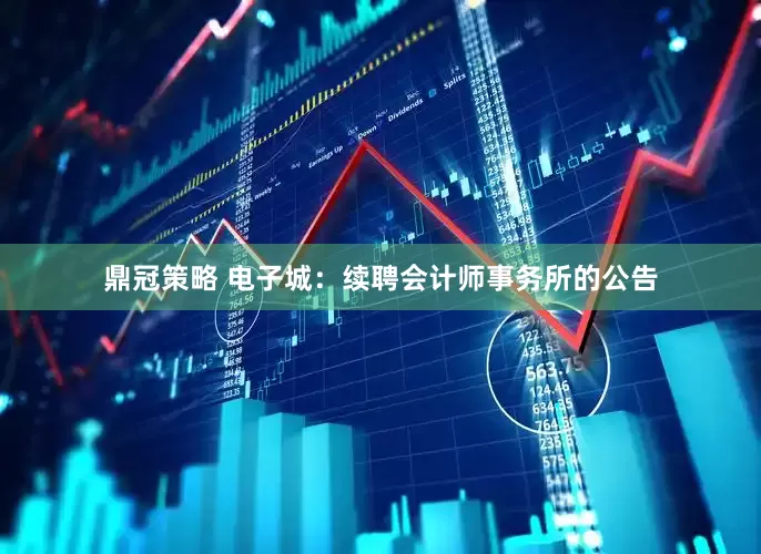 鼎冠策略 电子城：续聘会计师事务所的公告
